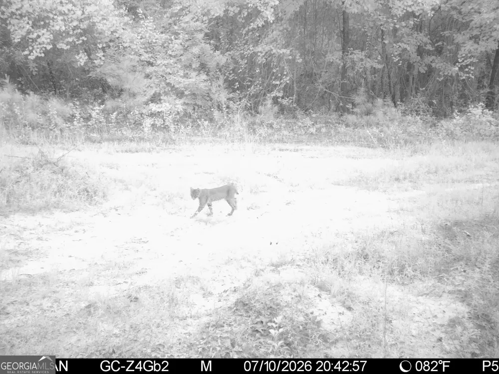 0 Neal RD Junction City, GA 31812