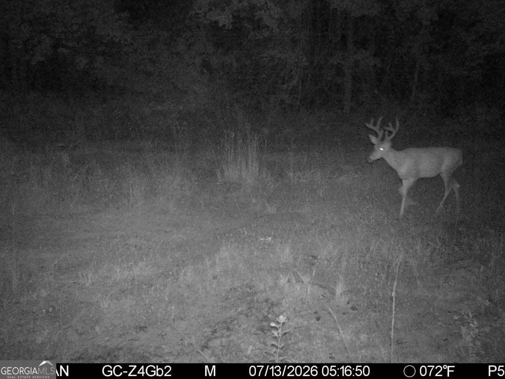 0 Neal RD Junction City, GA 31812