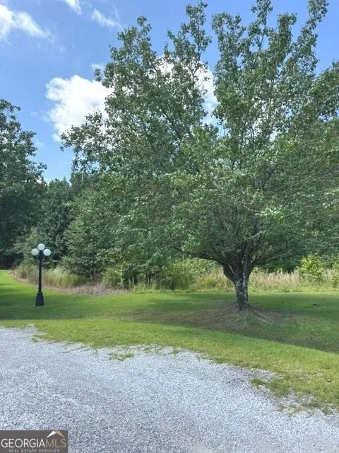 155 County Road 424