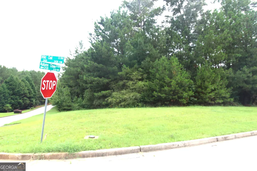 2400 Wild Oak CT Stockbridge, GA 30281