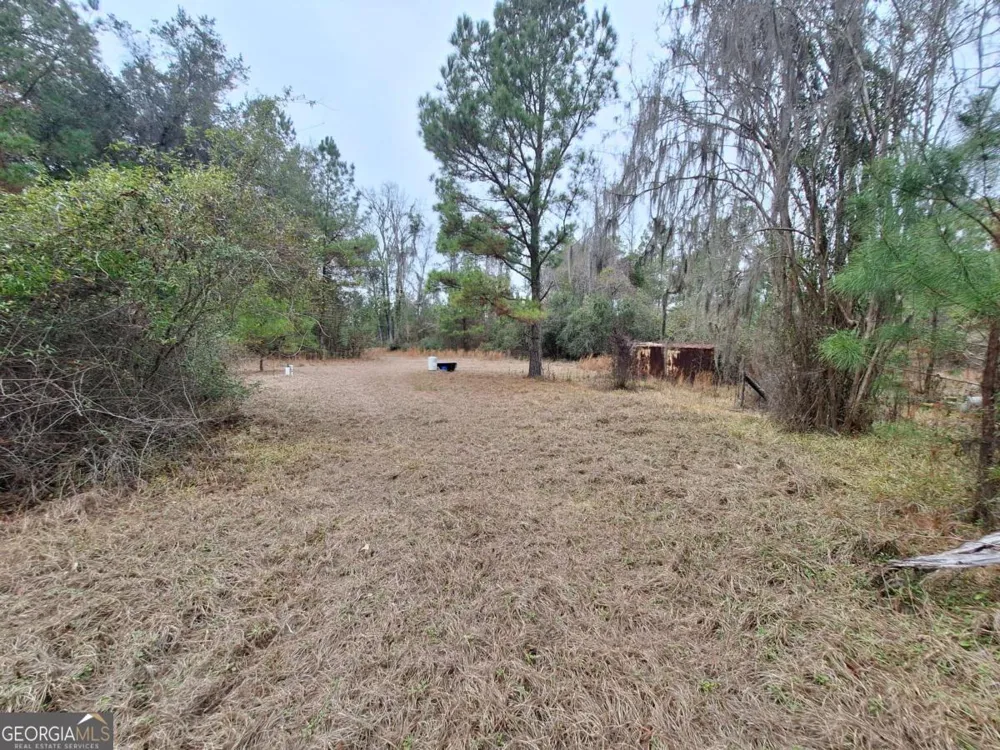 2447 Old Hwy 259 Waynesville, GA 31566
