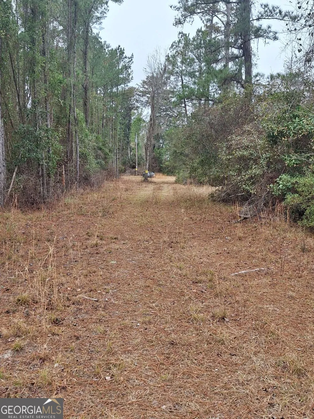 2447 Old Hwy 259 Waynesville, GA 31566