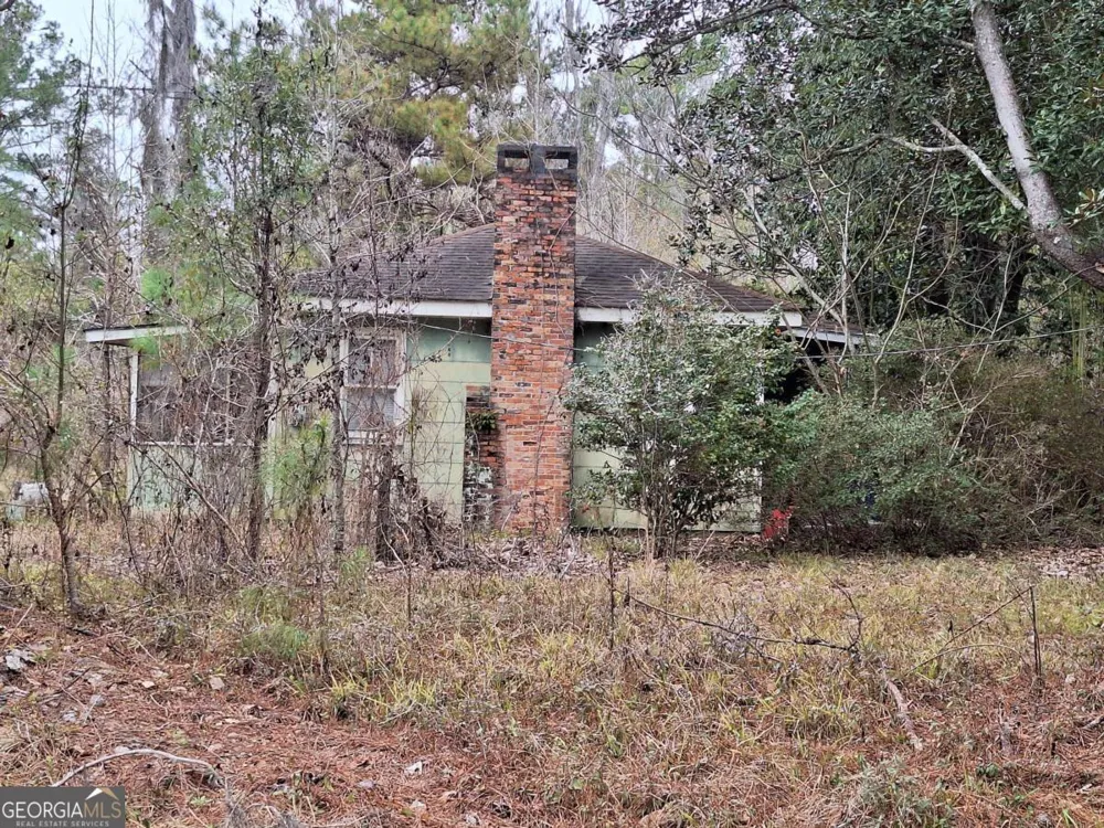 2447 Old Hwy 259 Waynesville, GA 31566