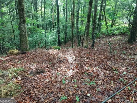 0 LOT 3 Jiminy Peak