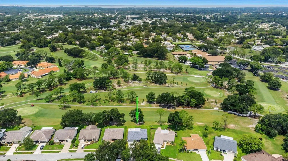 1308 GILLESPIE DRIVE Palm Harbor, FL 34684