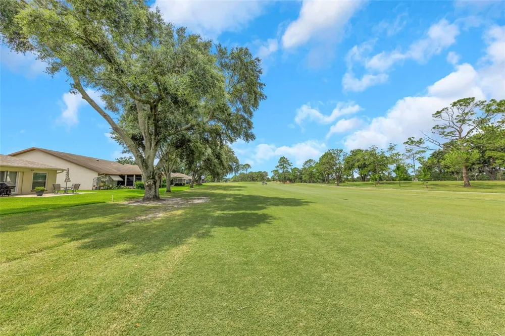 1308 GILLESPIE DRIVE Palm Harbor, FL 34684