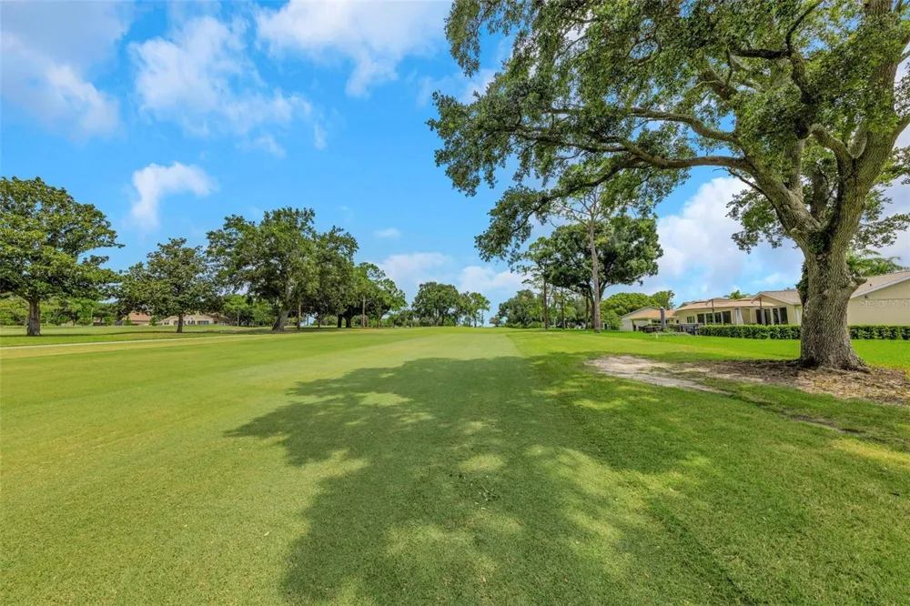 1308 GILLESPIE DRIVE Palm Harbor, FL 34684