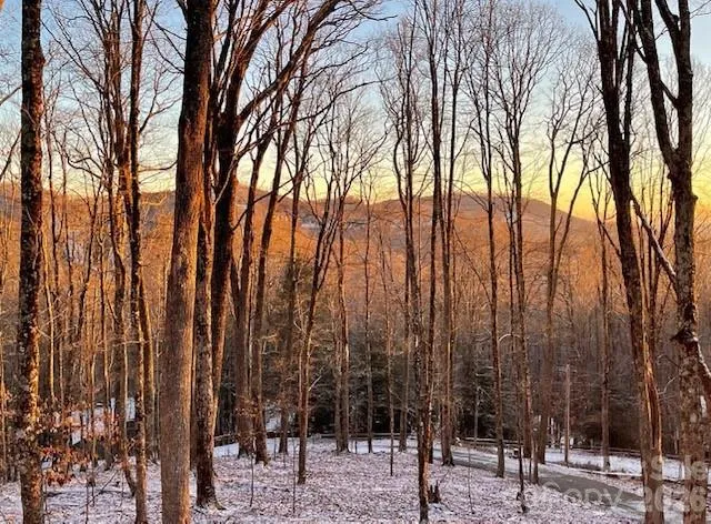 1067 English Ridge Drive Mars Hill, NC 28754