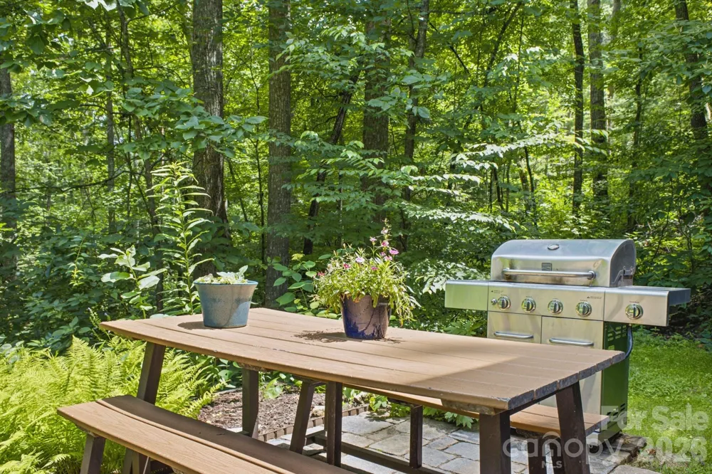 101 Reeds Creek Road Fairview, NC 28730