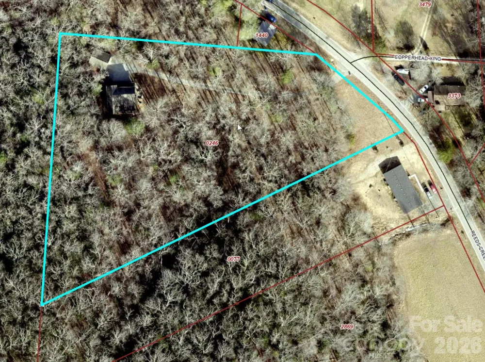 101 Reeds Creek Road Fairview, NC 28730