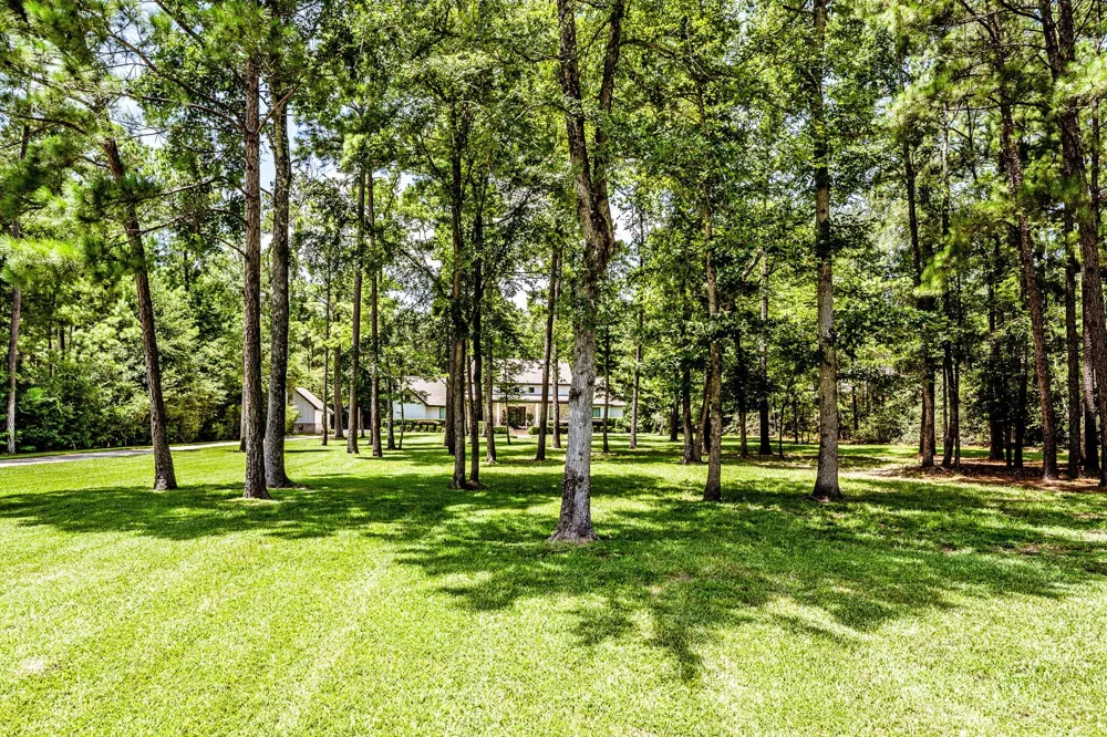 133 Dedication Trail Huntsville, TX 77340