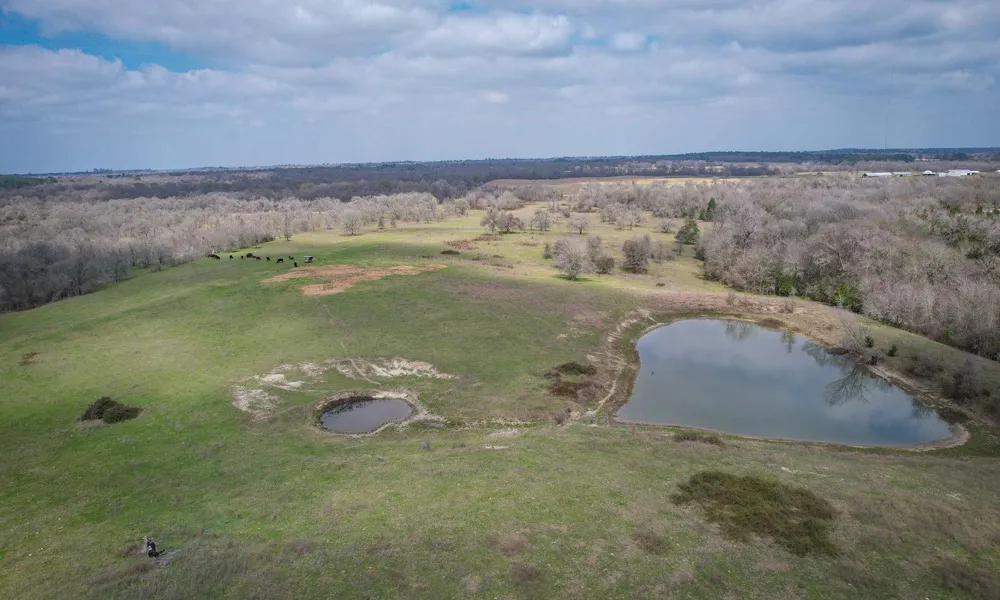 3750 County Road 185 Anderson, TX 77830