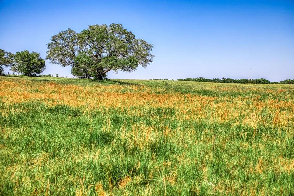 8101 W Parkison Lane Lane W Brenham, TX 77833