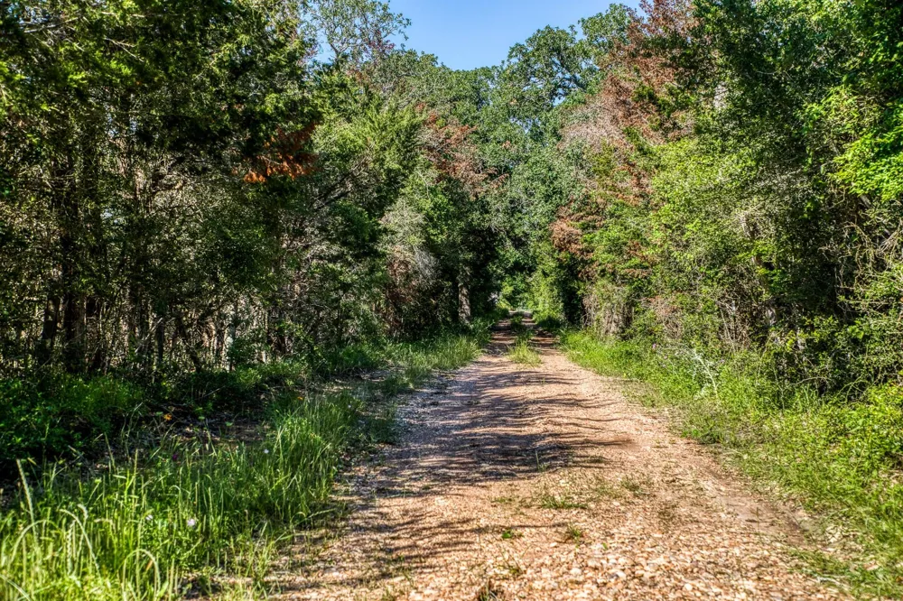 8101 W Parkison Lane Lane W Brenham, TX 77833