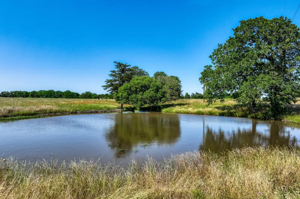 8101 W Parkison Lane Lane W Brenham, TX 77833