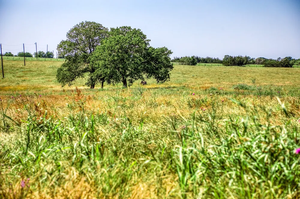 8101 W Parkison Lane Lane W Brenham, TX 77833