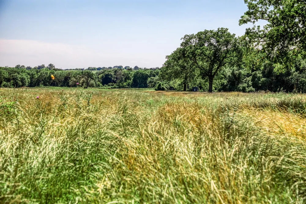 8101 W Parkison Lane Lane W Brenham, TX 77833