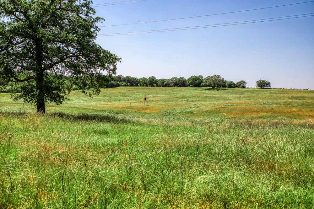 8101 W Parkison Lane Lane W Brenham, TX 77833