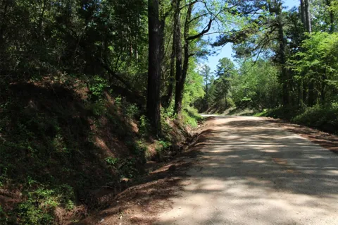 County Road 1190