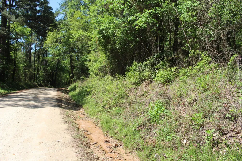 County Road 1190 Grapeland, TX 75844