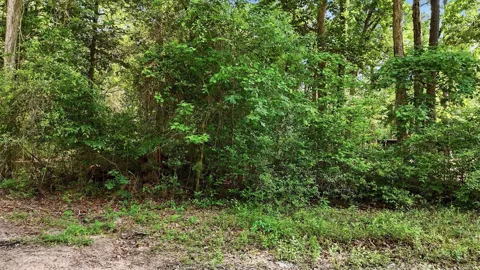 164 Road 2699