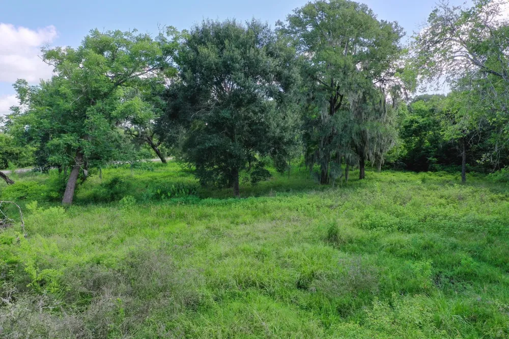 359 County Road 472 Sweeny, TX 77480