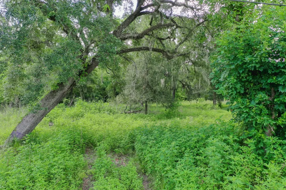 359 County Road 472 Sweeny, TX 77480