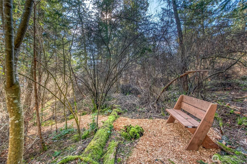 0 XXX Olga Park Lane #Lot 29 Orcas Island, WA 98279