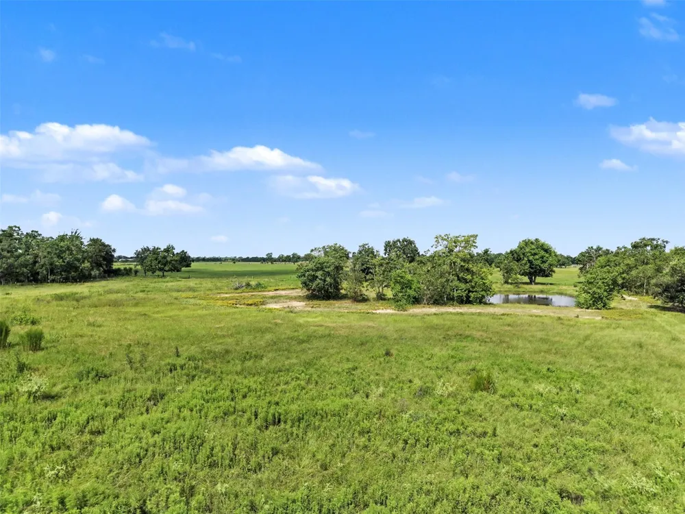 16819 Fm 362 Road Waller, TX 77484