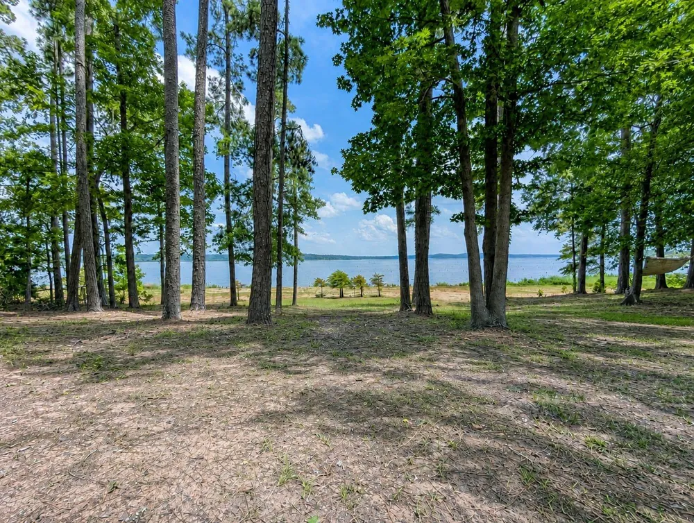 636 Campoli Road Etoile, TX 75944