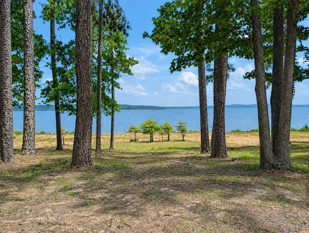 636 Campoli Road Etoile, TX 75944