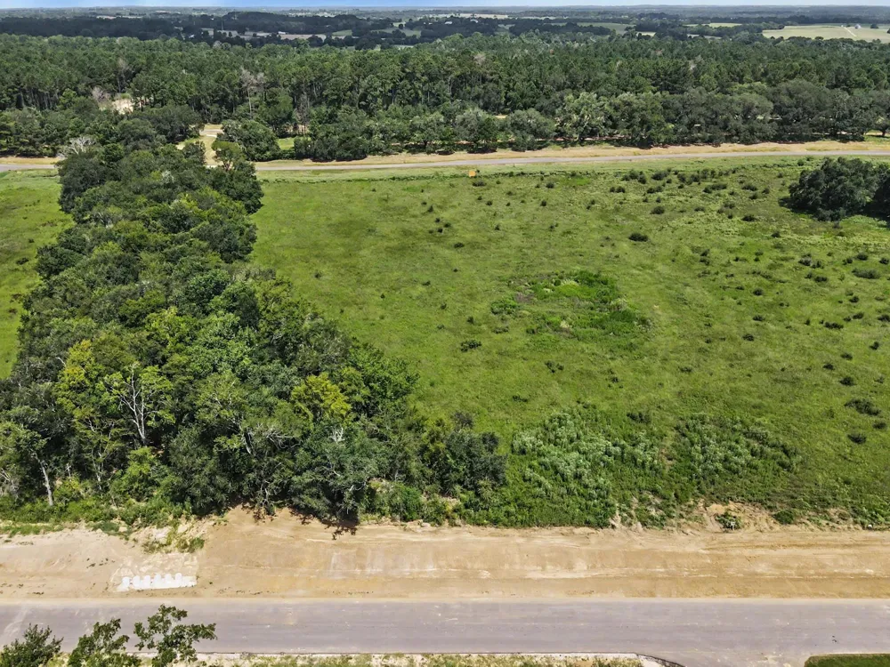 9735 Lakeside Oaks Dr Plantersville, TX 77363