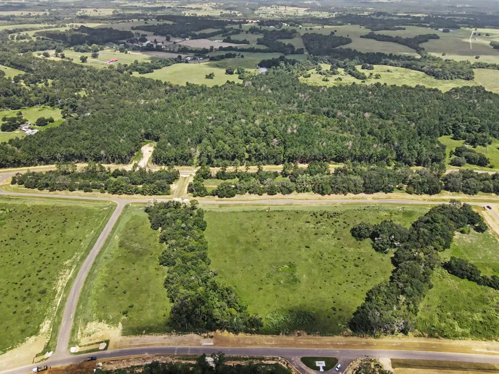 9735 Lakeside Oaks Dr Plantersville, TX 77363