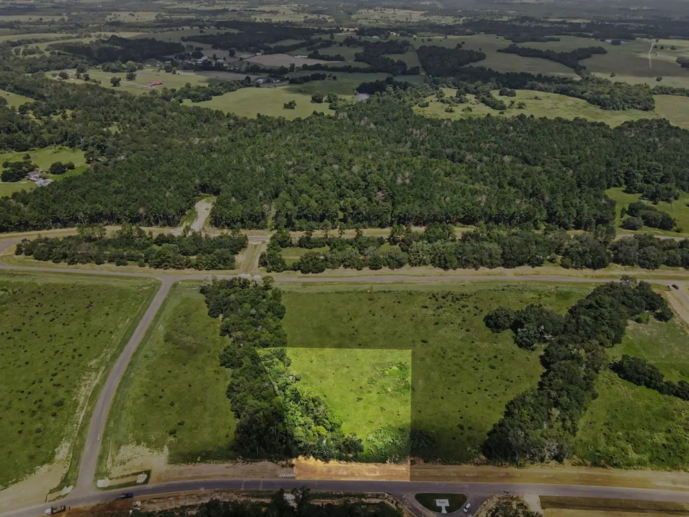 9735 Lakeside Oaks Dr Plantersville, TX 77363
