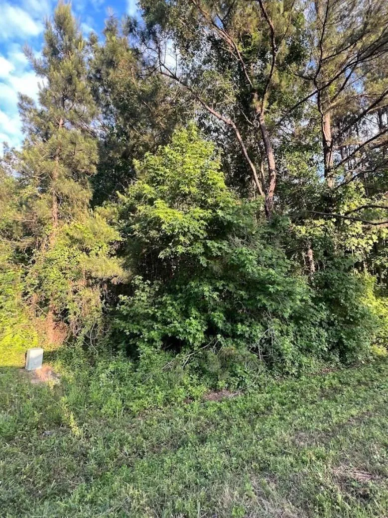 108 Peach Creek Drive New Caney, TX 77357