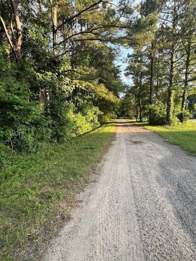 108 Peach Creek Drive New Caney, TX 77357