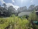 24558 Green Forest Drive