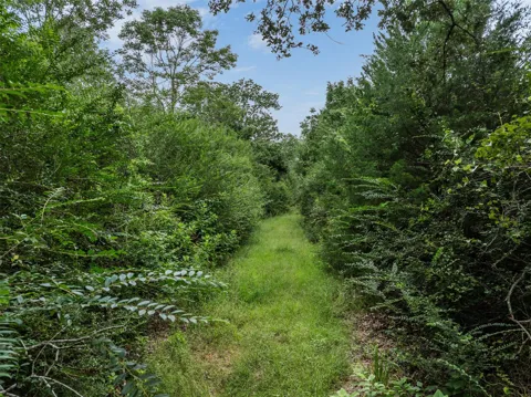West Caney Road
