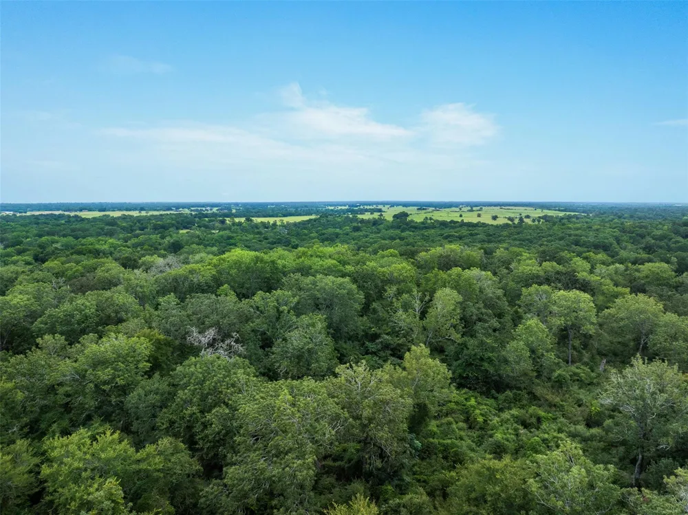 West Caney Road Normangee, TX 77871
