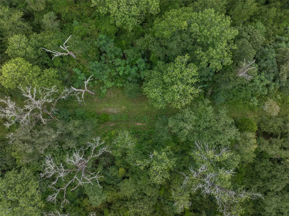 West Caney Road Normangee, TX 77871