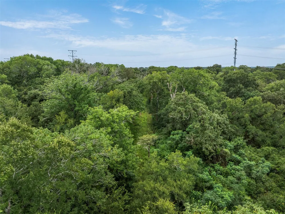 West Caney Road Normangee, TX 77871