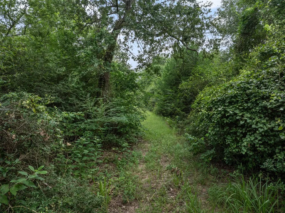 West Caney Road Normangee, TX 77871