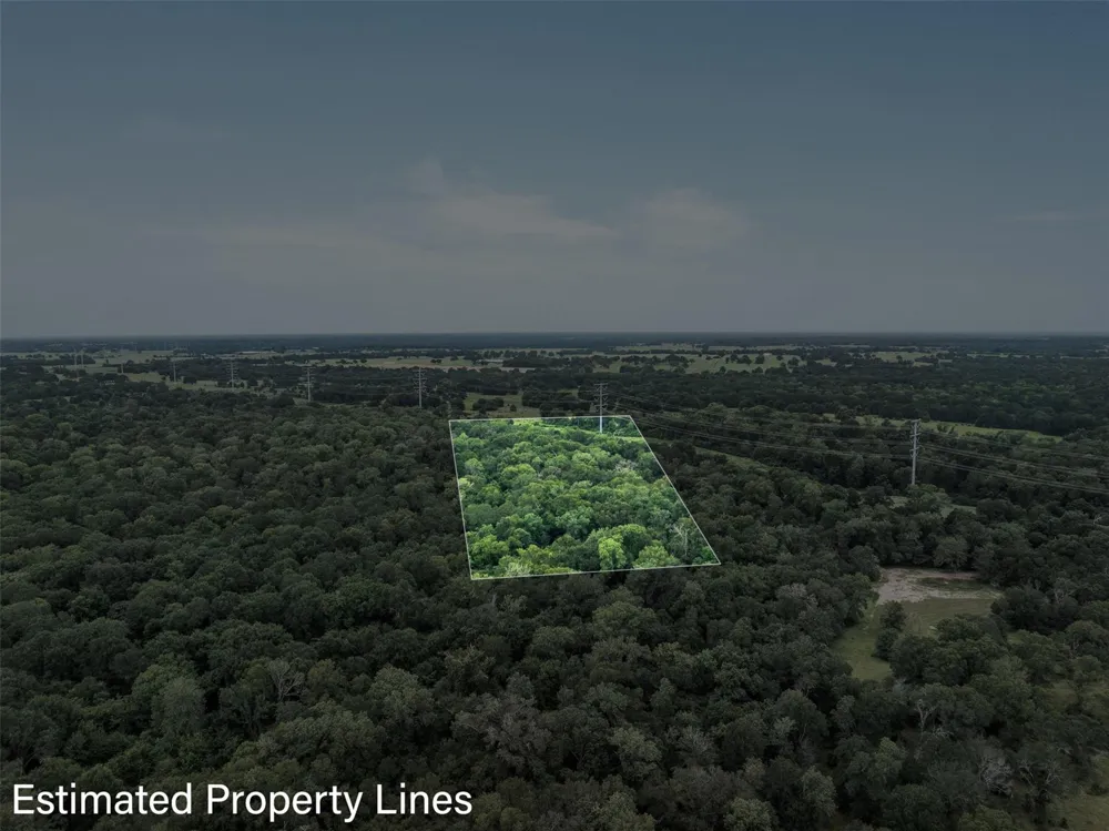 West Caney Road Normangee, TX 77871