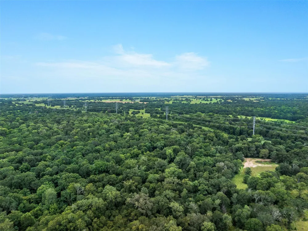 West Caney Road Normangee, TX 77871
