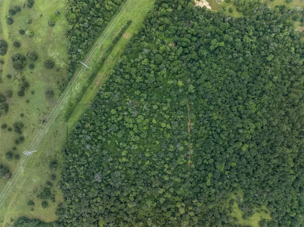 West Caney Road Normangee, TX 77871