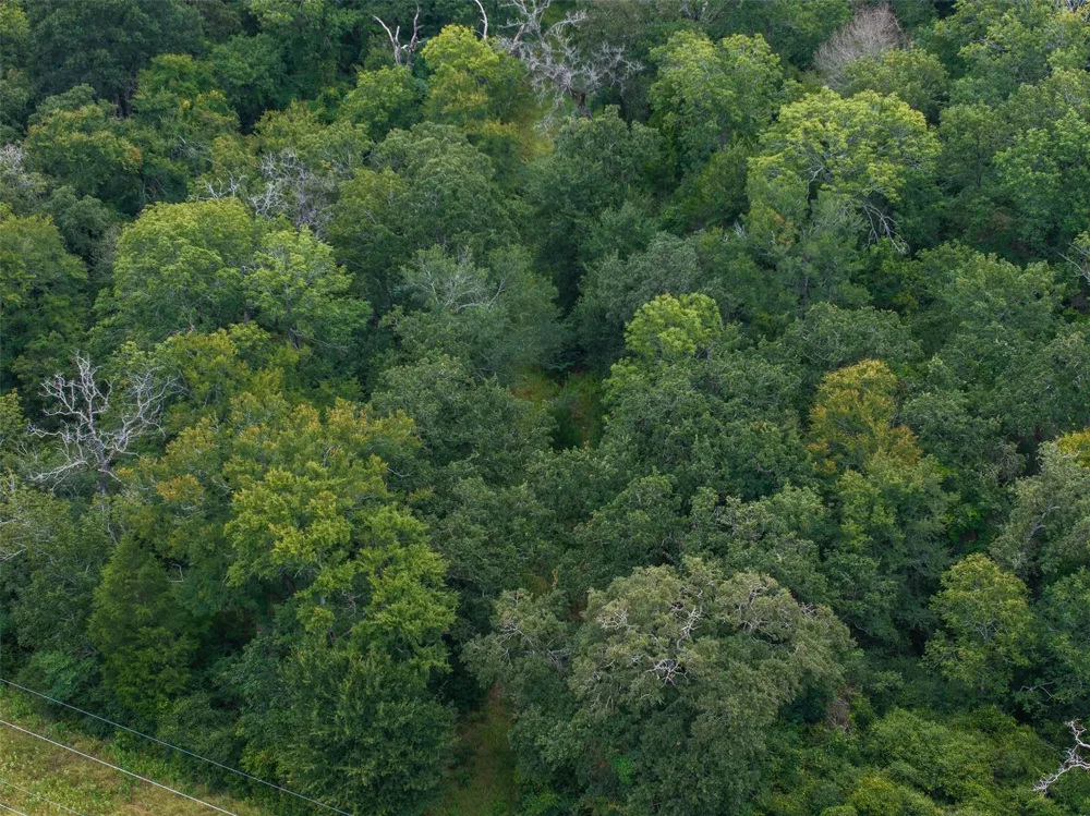 West Caney Road Normangee, TX 77871