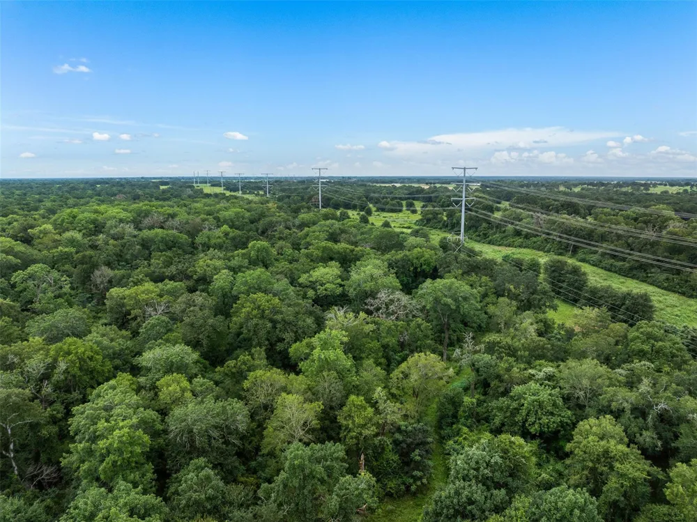 West Caney Road Normangee, TX 77871