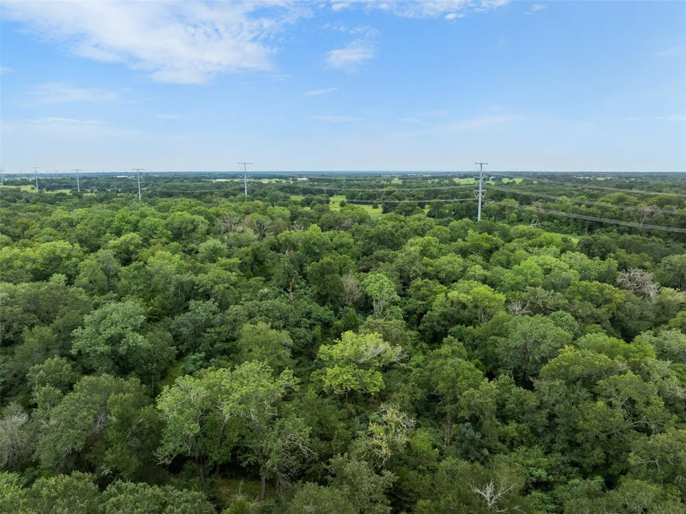 West Caney Road Normangee, TX 77871