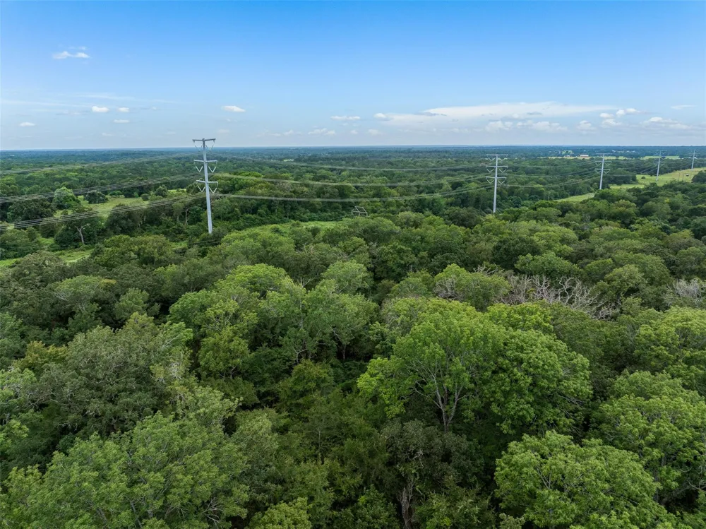 West Caney Road Normangee, TX 77871