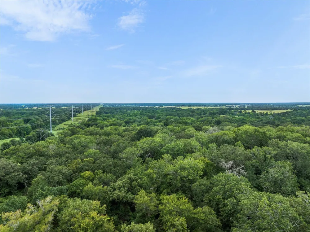 West Caney Road Normangee, TX 77871